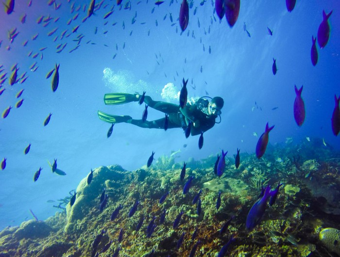 Scuba diving locations